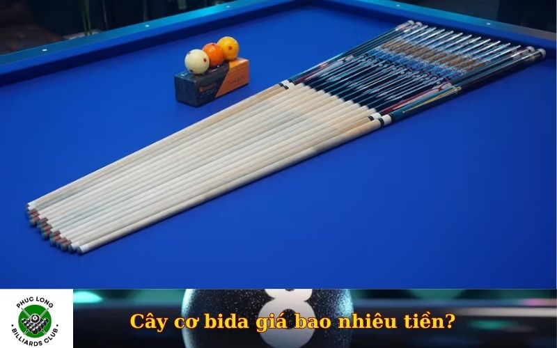 Cây cơ bida giá bao nhiêu tiền