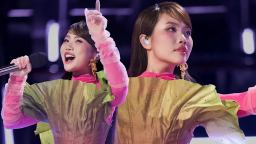 bong-phu-hoa-phuong-my-chi